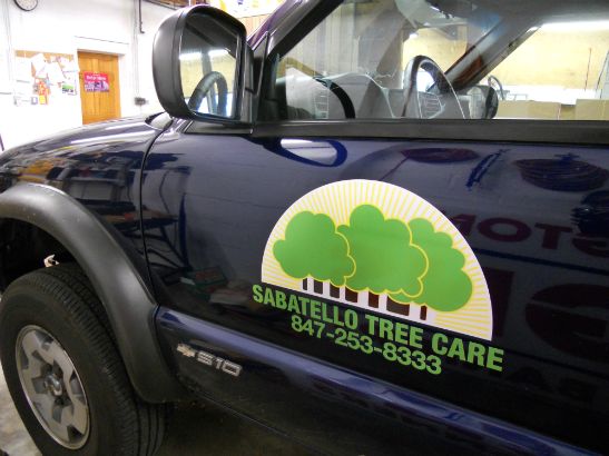 Sabatello Tree Care Arlington Heights. 